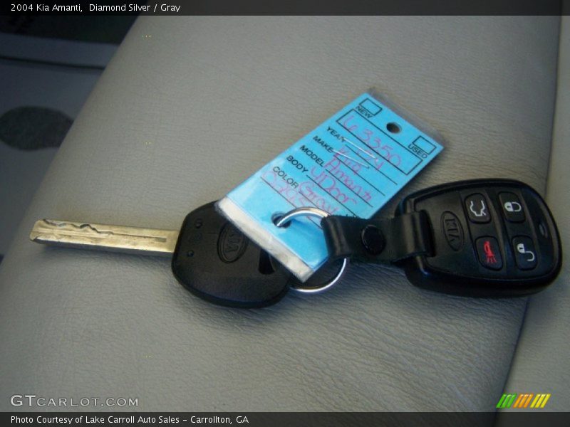 Diamond Silver / Gray 2004 Kia Amanti