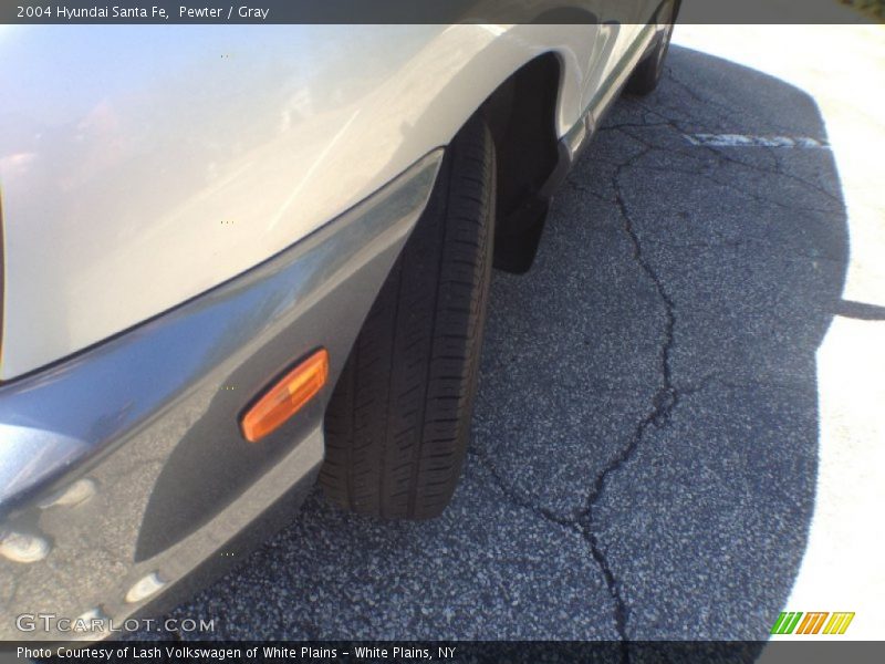 Pewter / Gray 2004 Hyundai Santa Fe