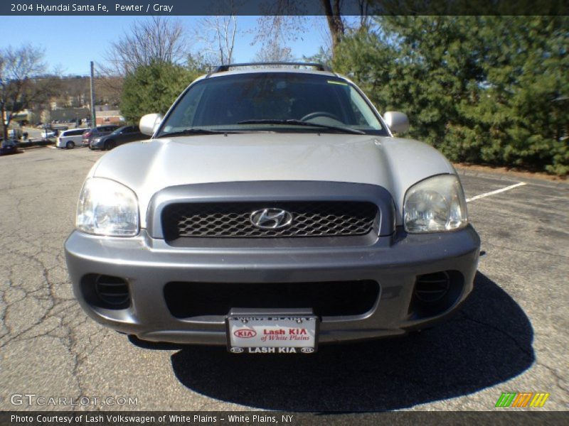 Pewter / Gray 2004 Hyundai Santa Fe