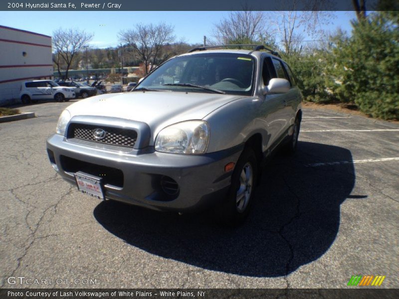 Pewter / Gray 2004 Hyundai Santa Fe