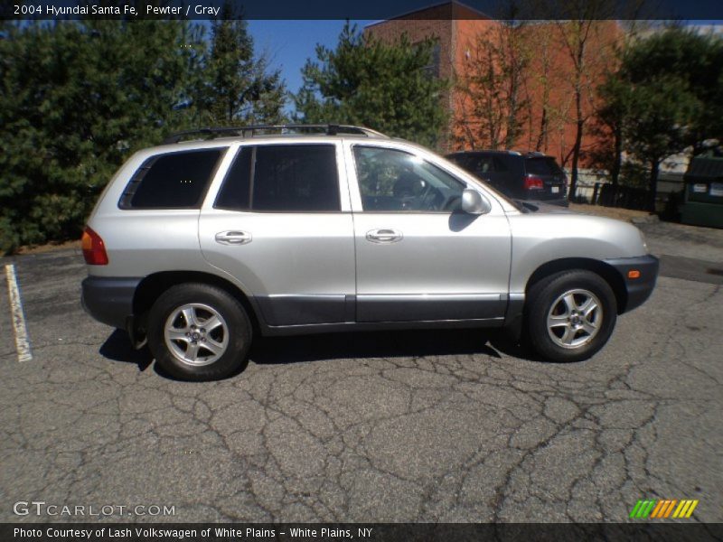 Pewter / Gray 2004 Hyundai Santa Fe