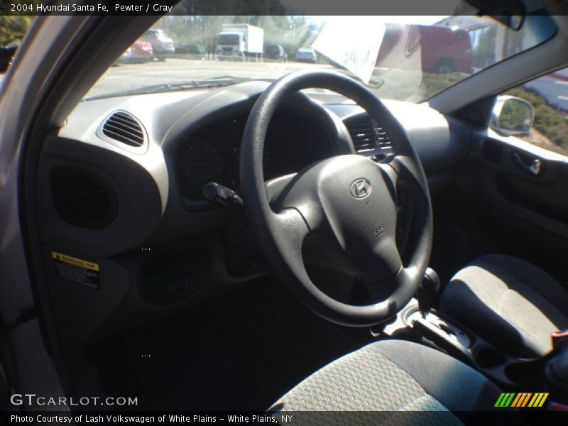 Pewter / Gray 2004 Hyundai Santa Fe