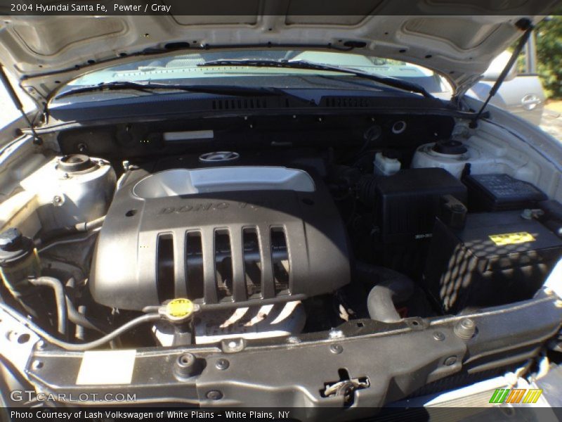 Pewter / Gray 2004 Hyundai Santa Fe