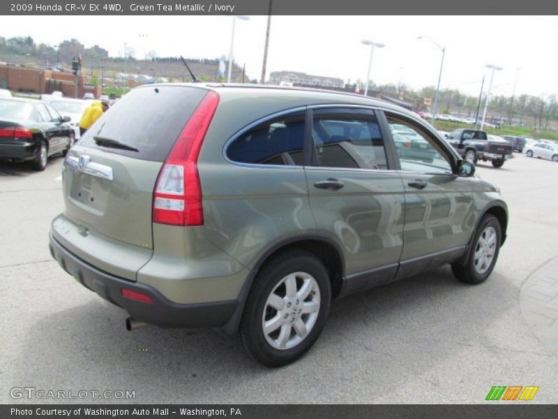 Green Tea Metallic / Ivory 2009 Honda CR-V EX 4WD