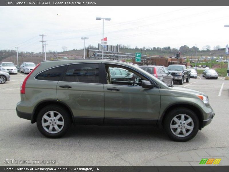 Green Tea Metallic / Ivory 2009 Honda CR-V EX 4WD