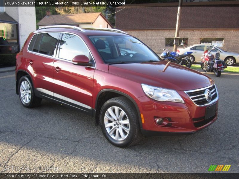 Wild Cherry Metallic / Charcoal 2009 Volkswagen Tiguan SE 4Motion