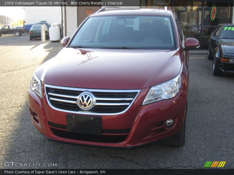 Wild Cherry Metallic / Charcoal 2009 Volkswagen Tiguan SE 4Motion