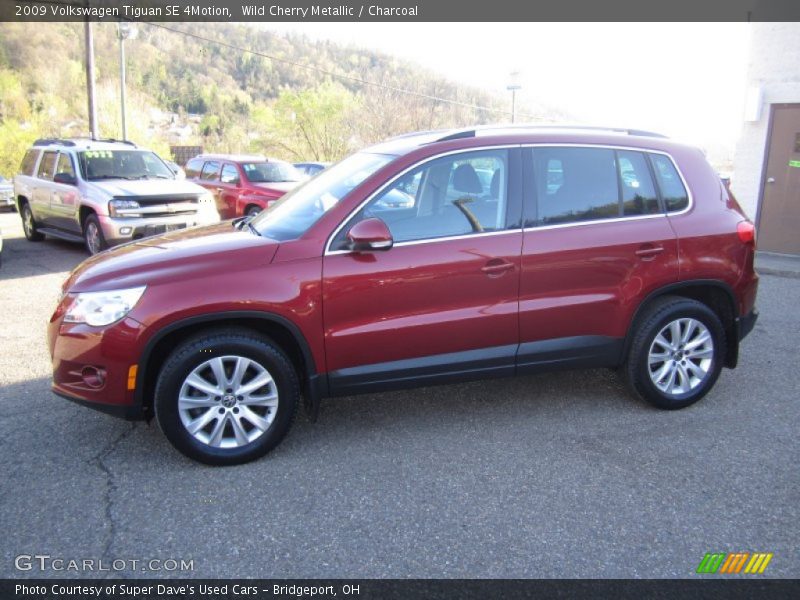 Wild Cherry Metallic / Charcoal 2009 Volkswagen Tiguan SE 4Motion