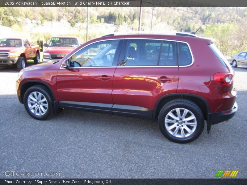 Wild Cherry Metallic / Charcoal 2009 Volkswagen Tiguan SE 4Motion