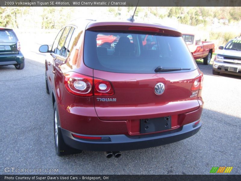 Wild Cherry Metallic / Charcoal 2009 Volkswagen Tiguan SE 4Motion