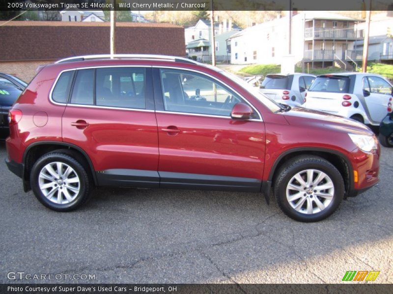 Wild Cherry Metallic / Charcoal 2009 Volkswagen Tiguan SE 4Motion