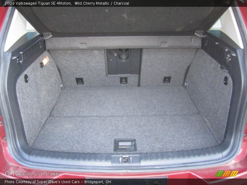 Wild Cherry Metallic / Charcoal 2009 Volkswagen Tiguan SE 4Motion