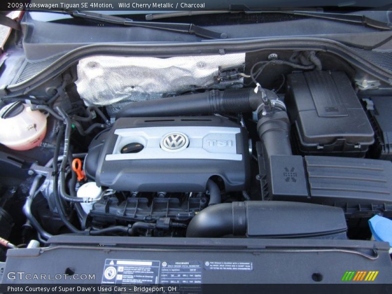 Wild Cherry Metallic / Charcoal 2009 Volkswagen Tiguan SE 4Motion