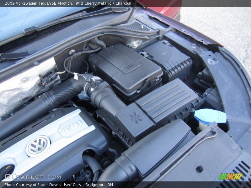 Wild Cherry Metallic / Charcoal 2009 Volkswagen Tiguan SE 4Motion