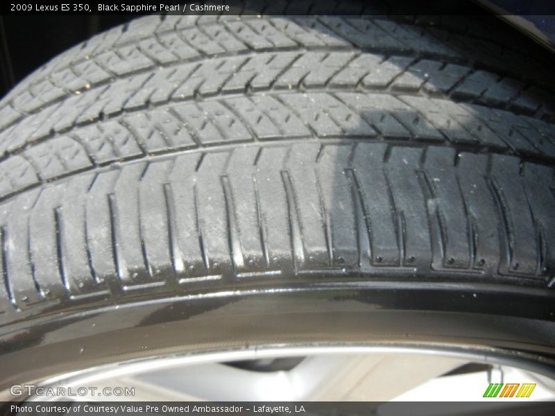 Black Sapphire Pearl / Cashmere 2009 Lexus ES 350