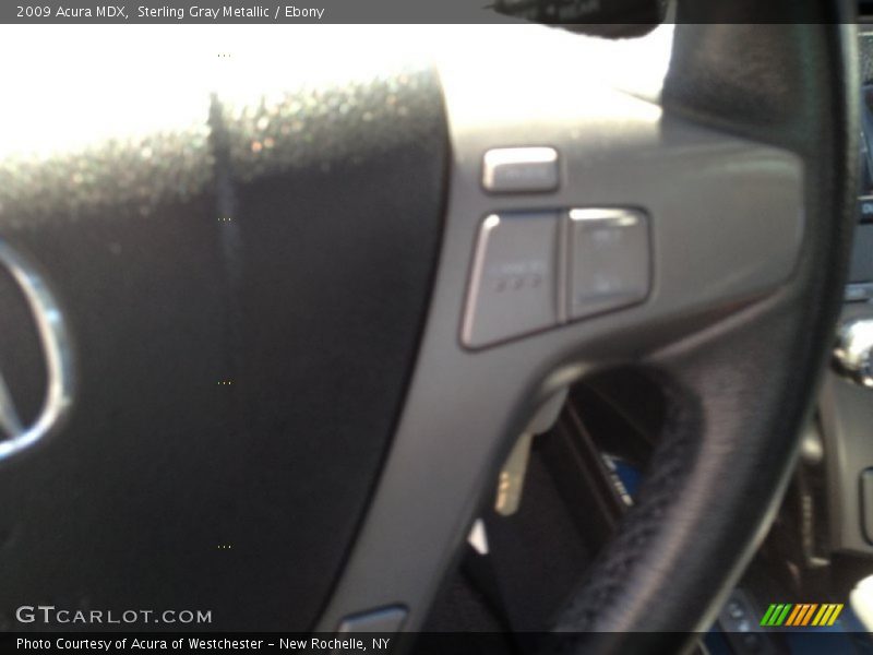 Sterling Gray Metallic / Ebony 2009 Acura MDX