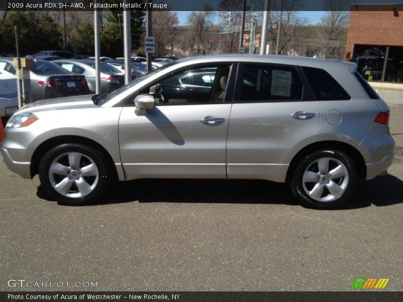 Palladium Metallic / Taupe 2009 Acura RDX SH-AWD