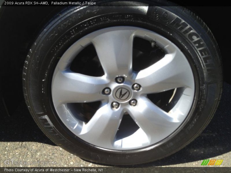 Palladium Metallic / Taupe 2009 Acura RDX SH-AWD