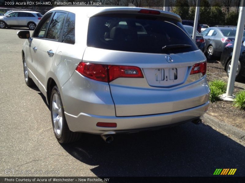 Palladium Metallic / Taupe 2009 Acura RDX SH-AWD