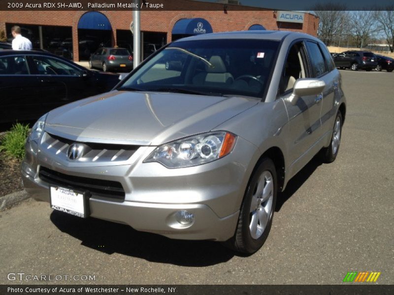 Palladium Metallic / Taupe 2009 Acura RDX SH-AWD