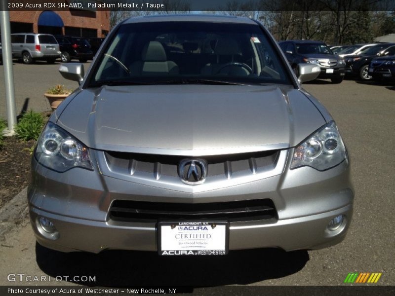 Palladium Metallic / Taupe 2009 Acura RDX SH-AWD