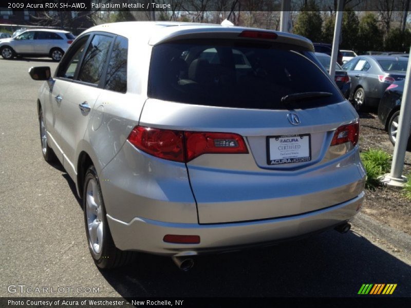 Palladium Metallic / Taupe 2009 Acura RDX SH-AWD