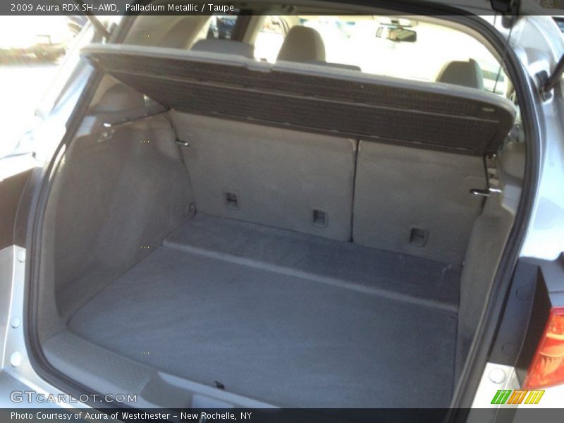 Palladium Metallic / Taupe 2009 Acura RDX SH-AWD