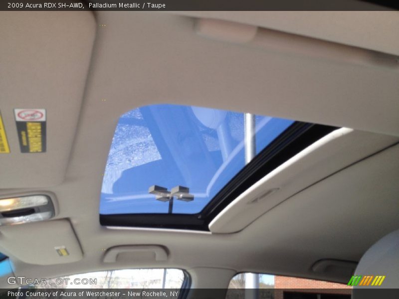 Palladium Metallic / Taupe 2009 Acura RDX SH-AWD