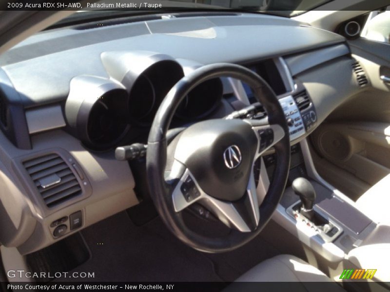 Palladium Metallic / Taupe 2009 Acura RDX SH-AWD