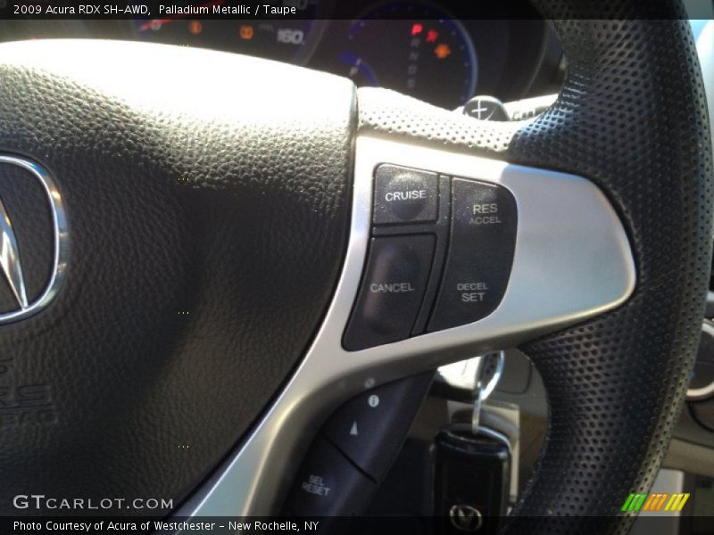Palladium Metallic / Taupe 2009 Acura RDX SH-AWD