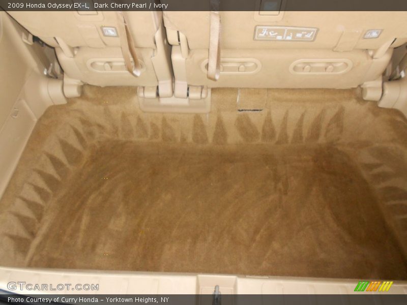 Dark Cherry Pearl / Ivory 2009 Honda Odyssey EX-L