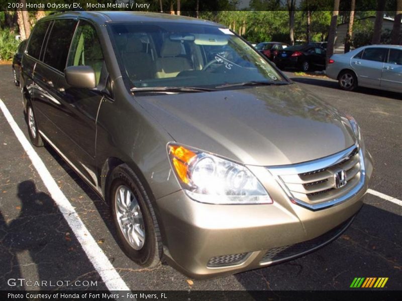 Mocha Metallic / Ivory 2009 Honda Odyssey EX