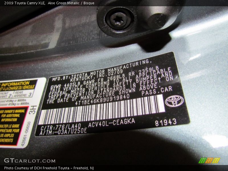 Aloe Green Metallic / Bisque 2009 Toyota Camry XLE