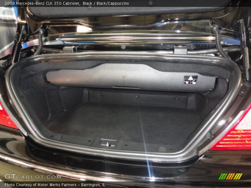 Black / Black/Cappuccino 2009 Mercedes-Benz CLK 350 Cabriolet
