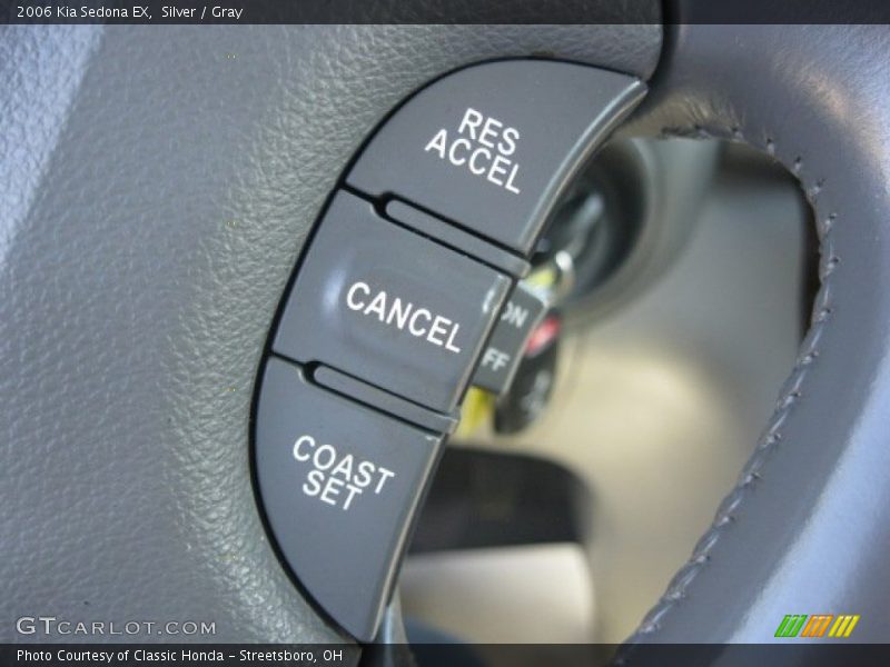 Silver / Gray 2006 Kia Sedona EX