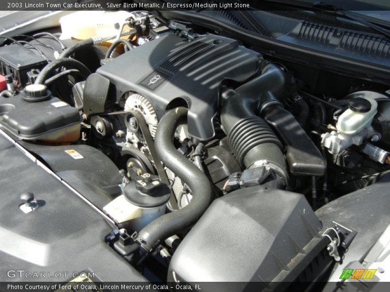 Silver Birch Metallic / Espresso/Medium Light Stone 2003 Lincoln Town Car Executive