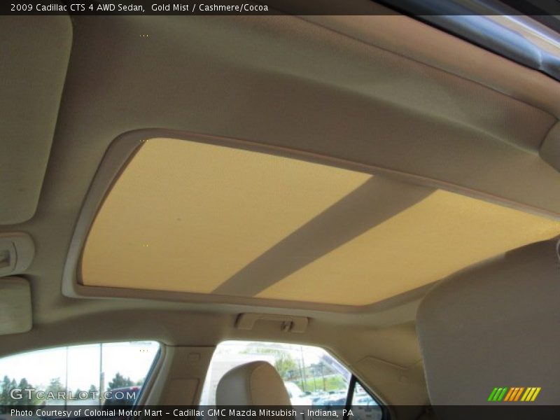 Gold Mist / Cashmere/Cocoa 2009 Cadillac CTS 4 AWD Sedan
