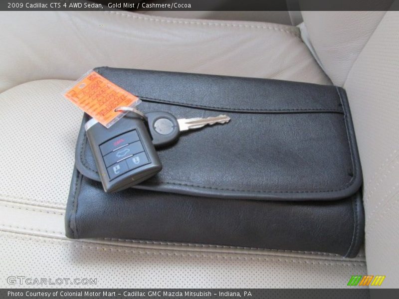 Gold Mist / Cashmere/Cocoa 2009 Cadillac CTS 4 AWD Sedan