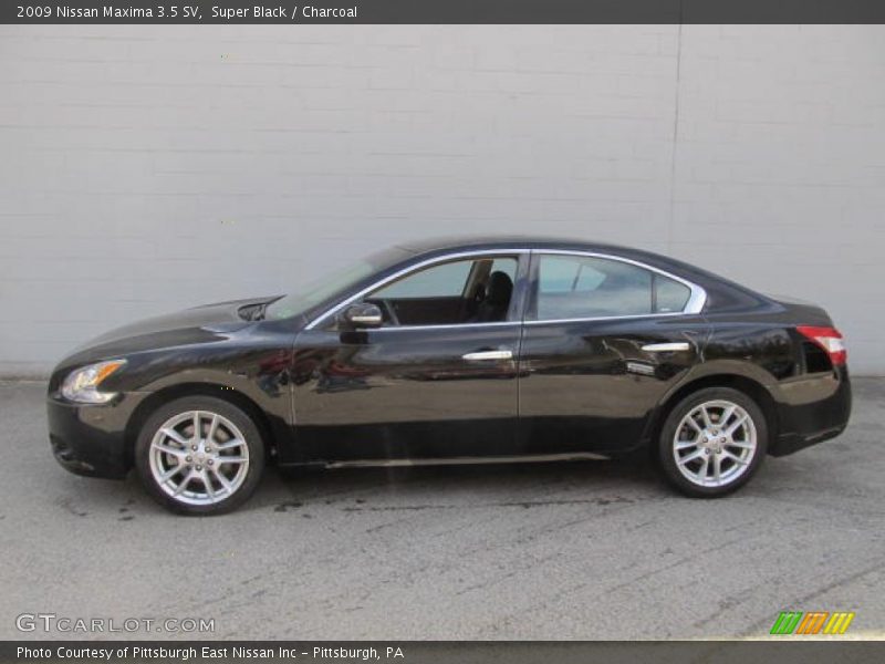 Super Black / Charcoal 2009 Nissan Maxima 3.5 SV