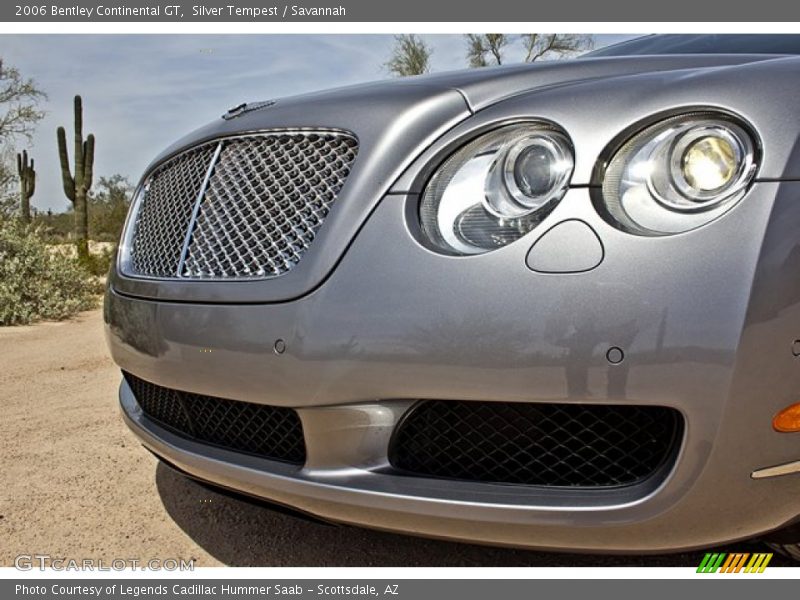 Silver Tempest / Savannah 2006 Bentley Continental GT