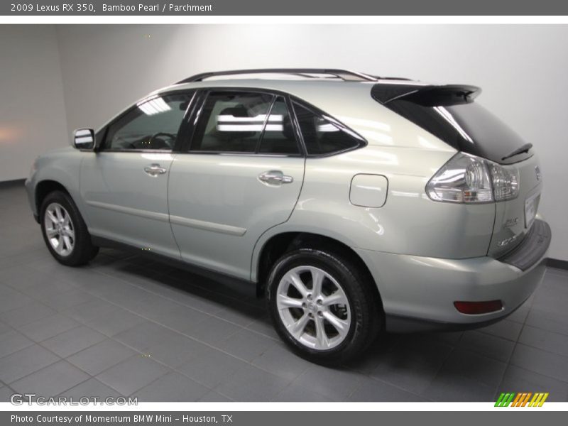 Bamboo Pearl / Parchment 2009 Lexus RX 350