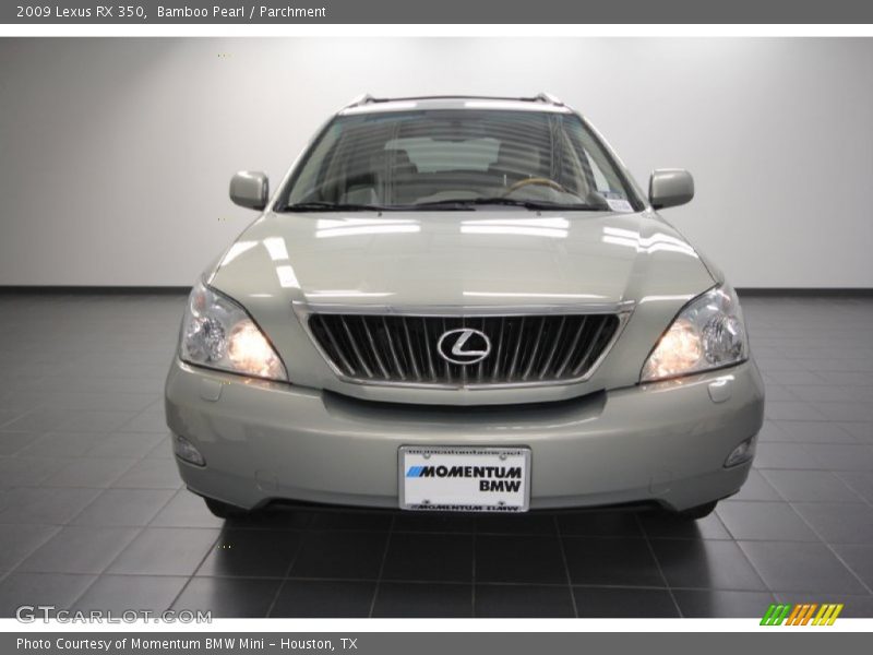Bamboo Pearl / Parchment 2009 Lexus RX 350