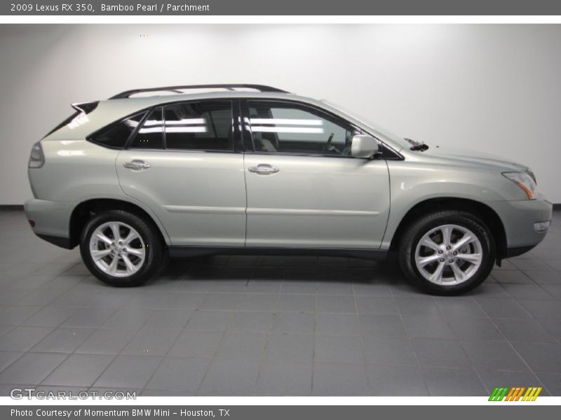 Bamboo Pearl / Parchment 2009 Lexus RX 350