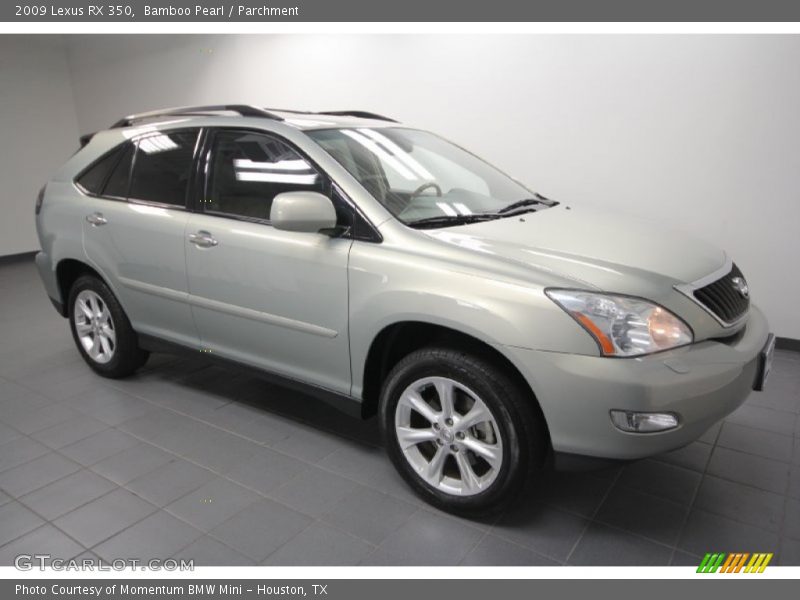 Bamboo Pearl / Parchment 2009 Lexus RX 350