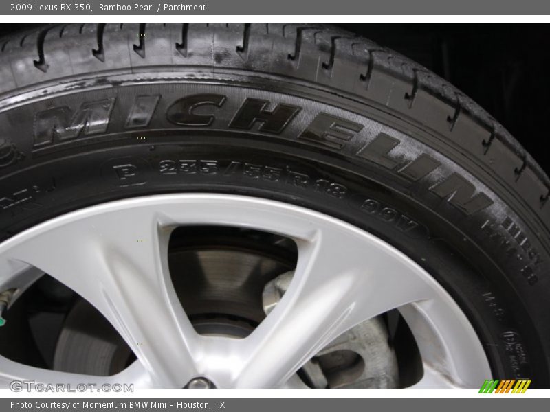 Bamboo Pearl / Parchment 2009 Lexus RX 350