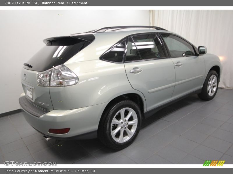 Bamboo Pearl / Parchment 2009 Lexus RX 350