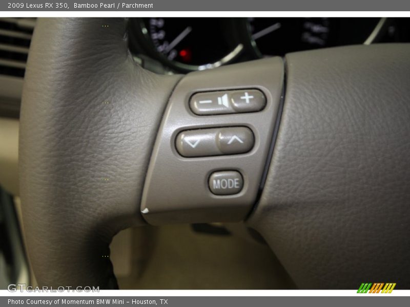 Bamboo Pearl / Parchment 2009 Lexus RX 350