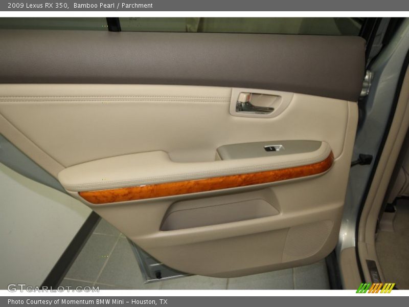 Bamboo Pearl / Parchment 2009 Lexus RX 350