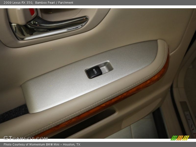 Bamboo Pearl / Parchment 2009 Lexus RX 350