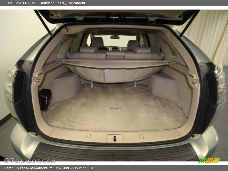 Bamboo Pearl / Parchment 2009 Lexus RX 350